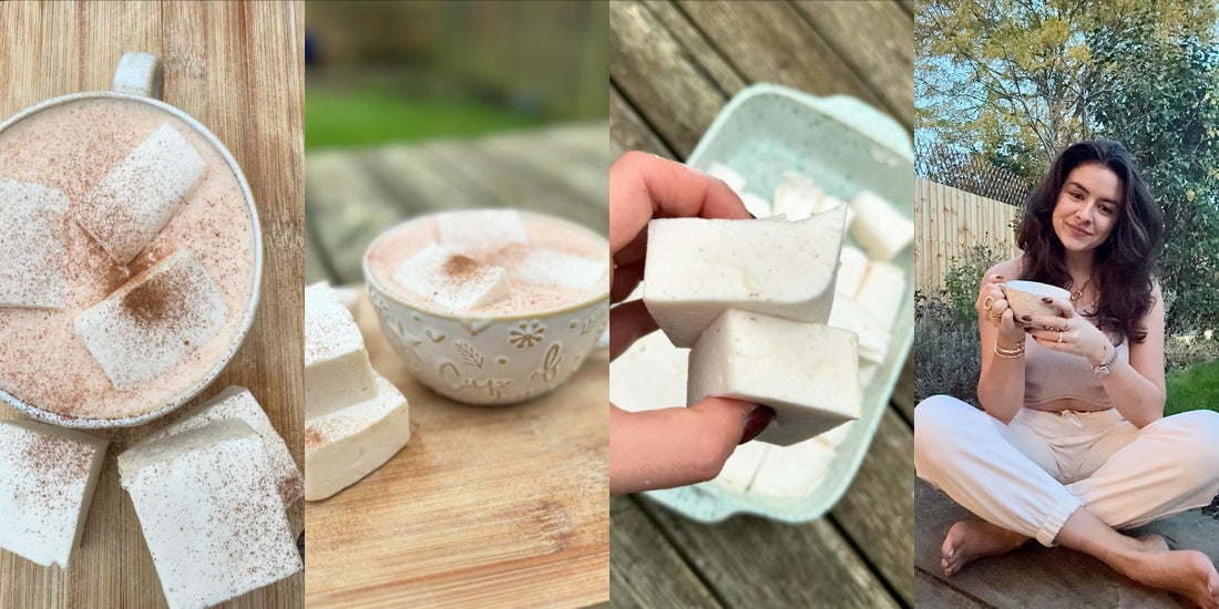 Bella’s Gut-Healing Marshmallows