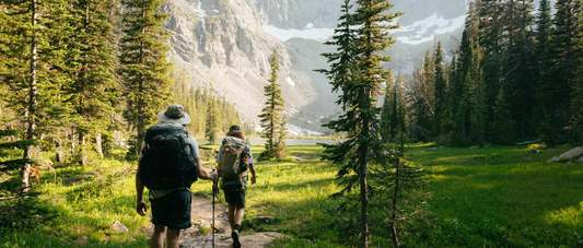 5 ways to elevate your next nature walk