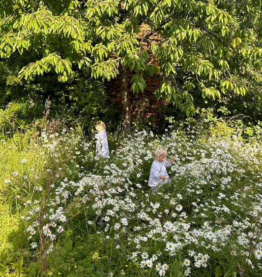 Children in a field of daisies, highlighting the connection between fertility support, reproductive health and beef organ supplements.