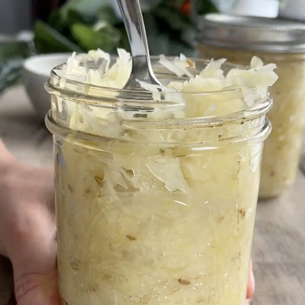 Gut healing sauerkraut